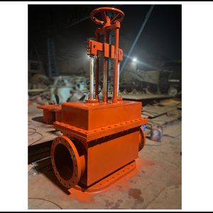 Dulpex Valve